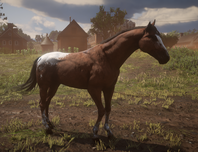 southernking.png