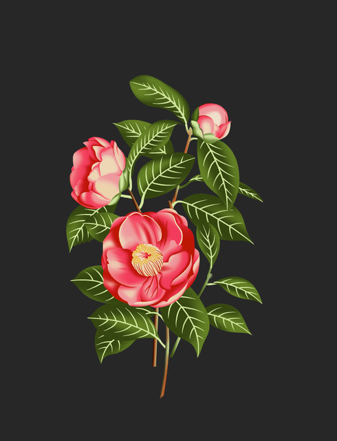 shutterstock 2098308844.jpg