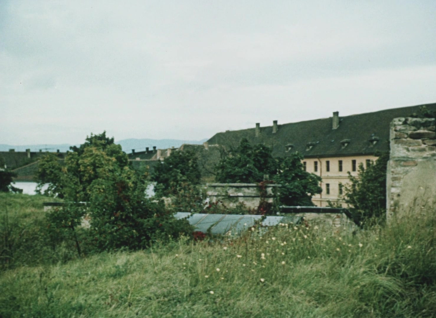 Movie cover image