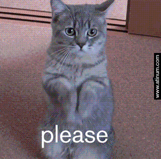 [Image: Please-Please-Please-Cat-GIF-by-Guldhart.gif]