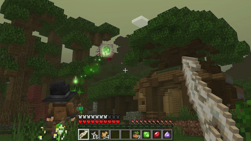 Image 2