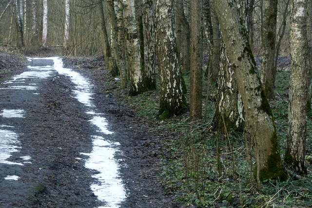 DSC8420.jpg