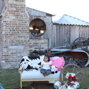 IMG-6184