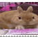 STAMP (2556)