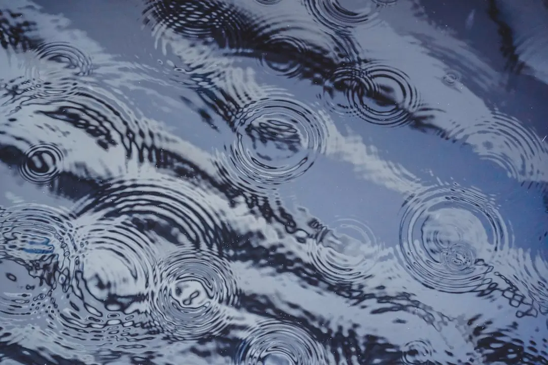 Ripple CTO Emeritus Comments on CEO's Major Sponsorship Deal