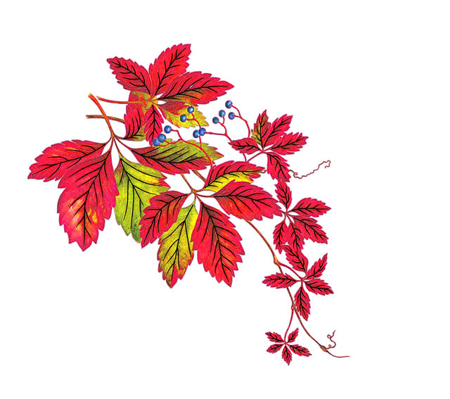 82c27d3a9183a47bbbeed3feb960e76d.png