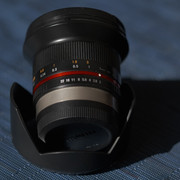 FXT32076 Large