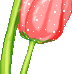 82b9f4e19c29
