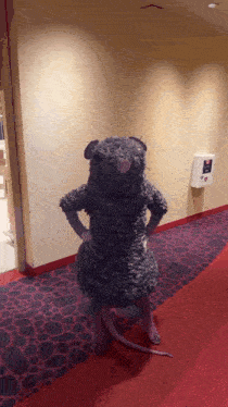 nut cracker rat nutcracker rat