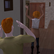 image029