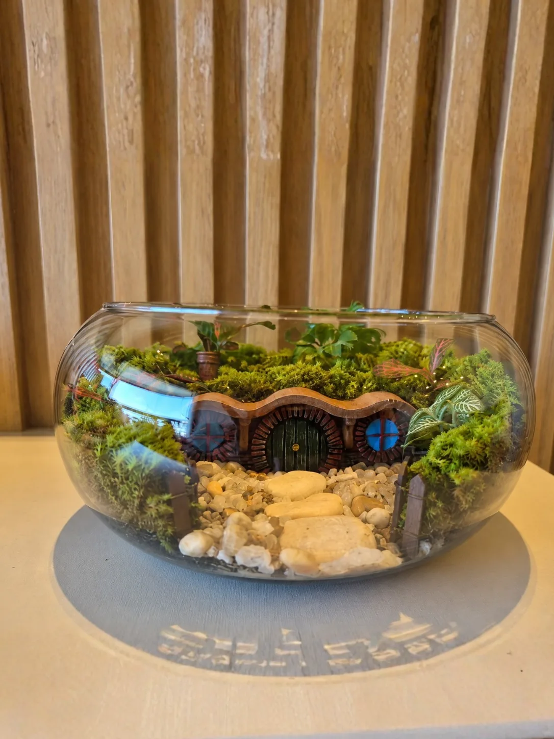 12cm x 21cm