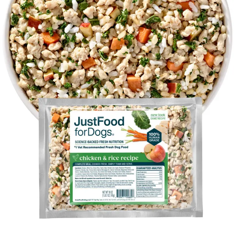 Dog Food Recalls: A 2026 Update