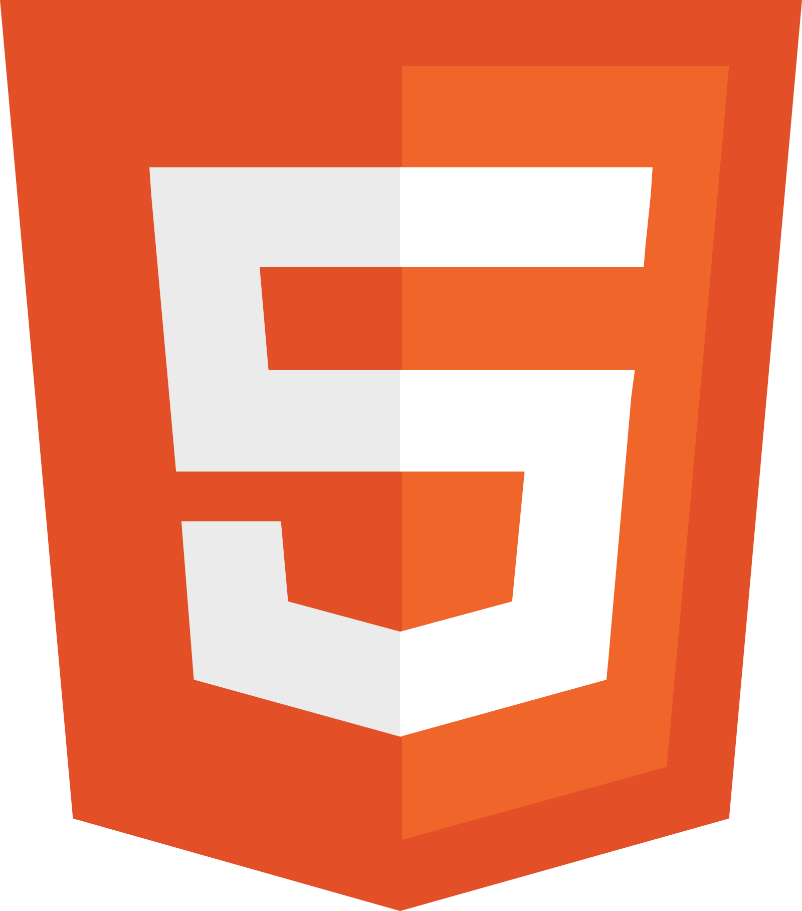 HTML5 icon