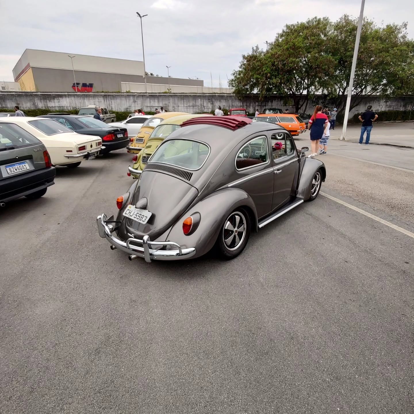 Carro para colecionadores