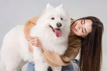 Fluffy Favourites: Dog Breeds That Steal Hearts