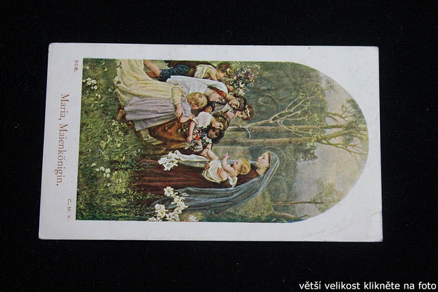 IMG-6996.jpg