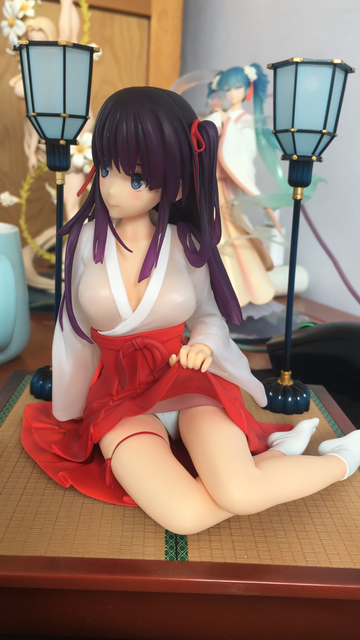 IMG-6537