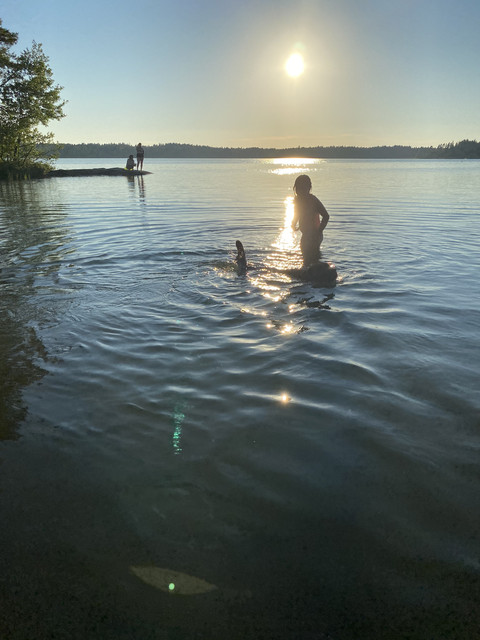 A396-A717-8-F51-484-D-A382-45849932-D925