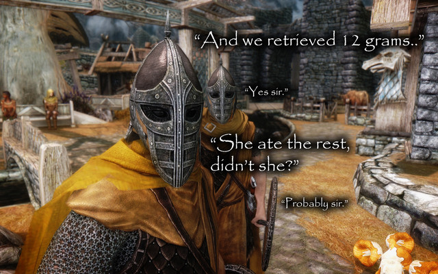 17.jpg