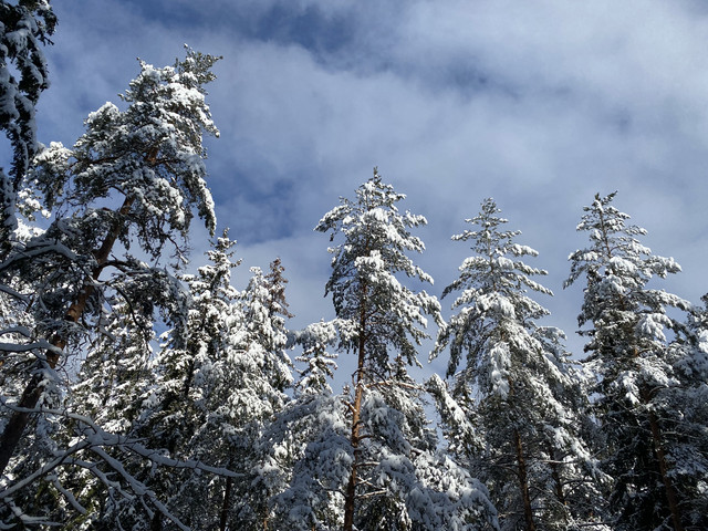 E444-C03-E-A8-CC-4-D01-B5-DA-08-B57-B095