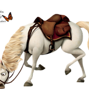 paard