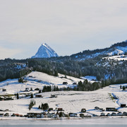 IMGP5175
