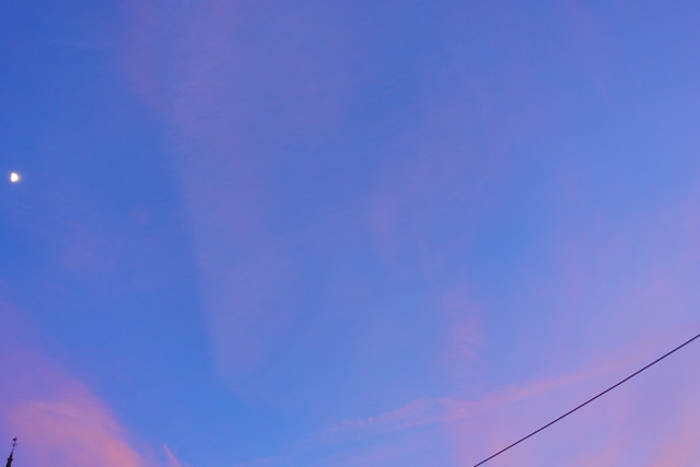 DSC09940.jpg