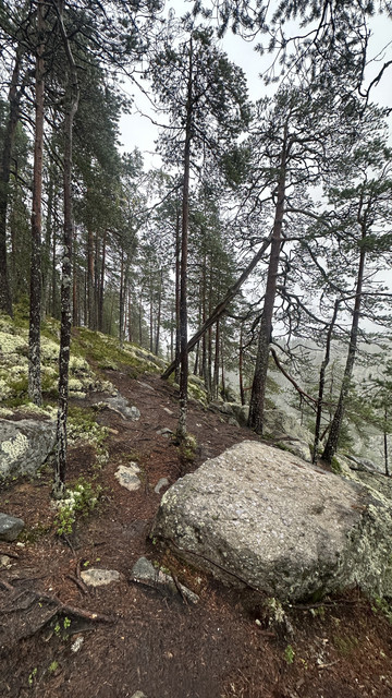 IMG 4882.jpg