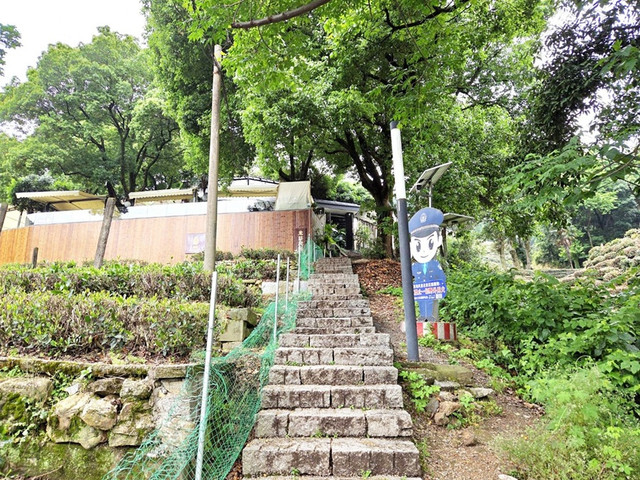 26.jpg