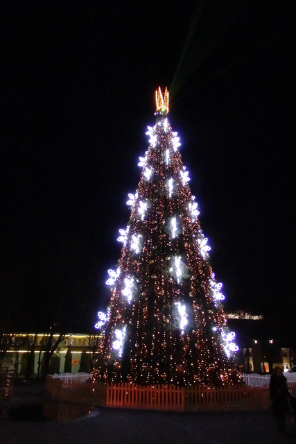PC150018.jpg
