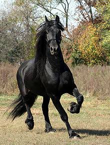 images-34.jpg