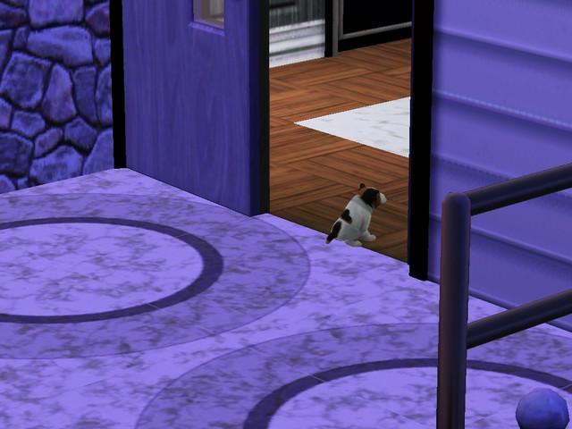Screenshot-178