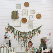 IMG-6563