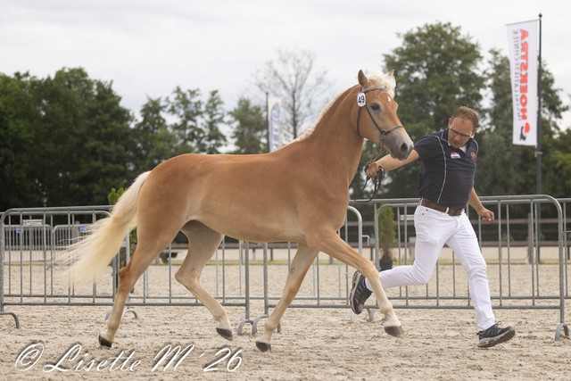 49 3