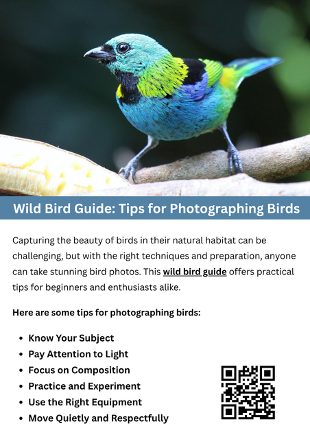 Capturing stunning bird photos requires patience, observation, and the right equipment. Use natural light, focus on the bird’s eyes, and maintain a safe distance to avoid disturbing them. Understanding bird behavior helps anticipate movements for better shots. The wild bird guide offers practical tips and techniques to improve your bird photography skills and enjoy nature photography responsibly. To know more visit here https://wildbirdguide.com/