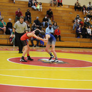 IMG-0247