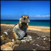 comp-IMG-3376