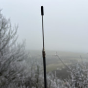 IMG-3869
