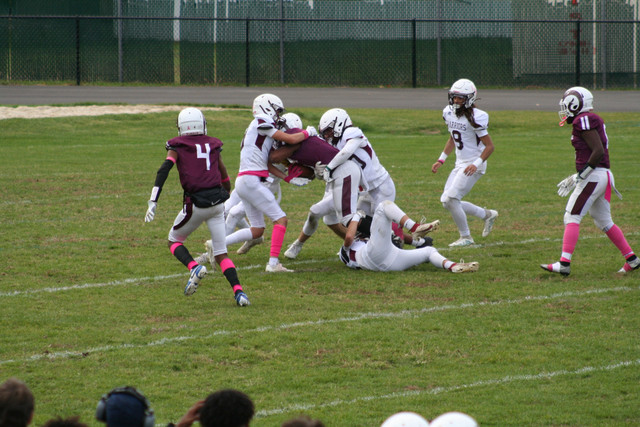 IMG-0010.jpg