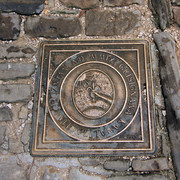 IMG-9590