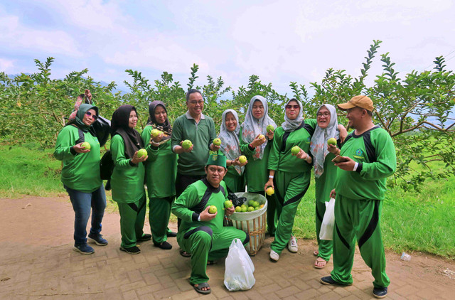 batch-14