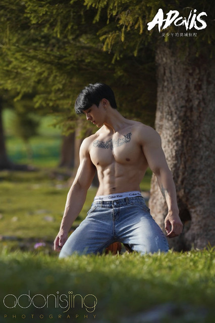 Adonis 01 47