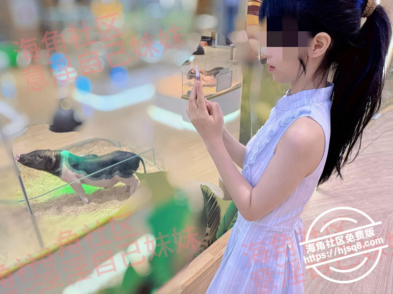 52dc121f 3c02 4fda b619 e82f38efcc4d
