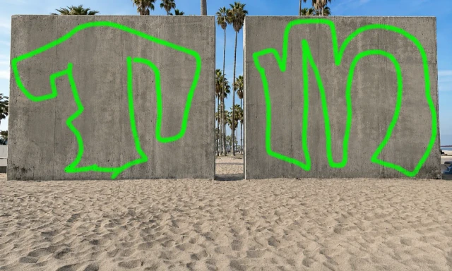 Graffiti artwork by ACE
