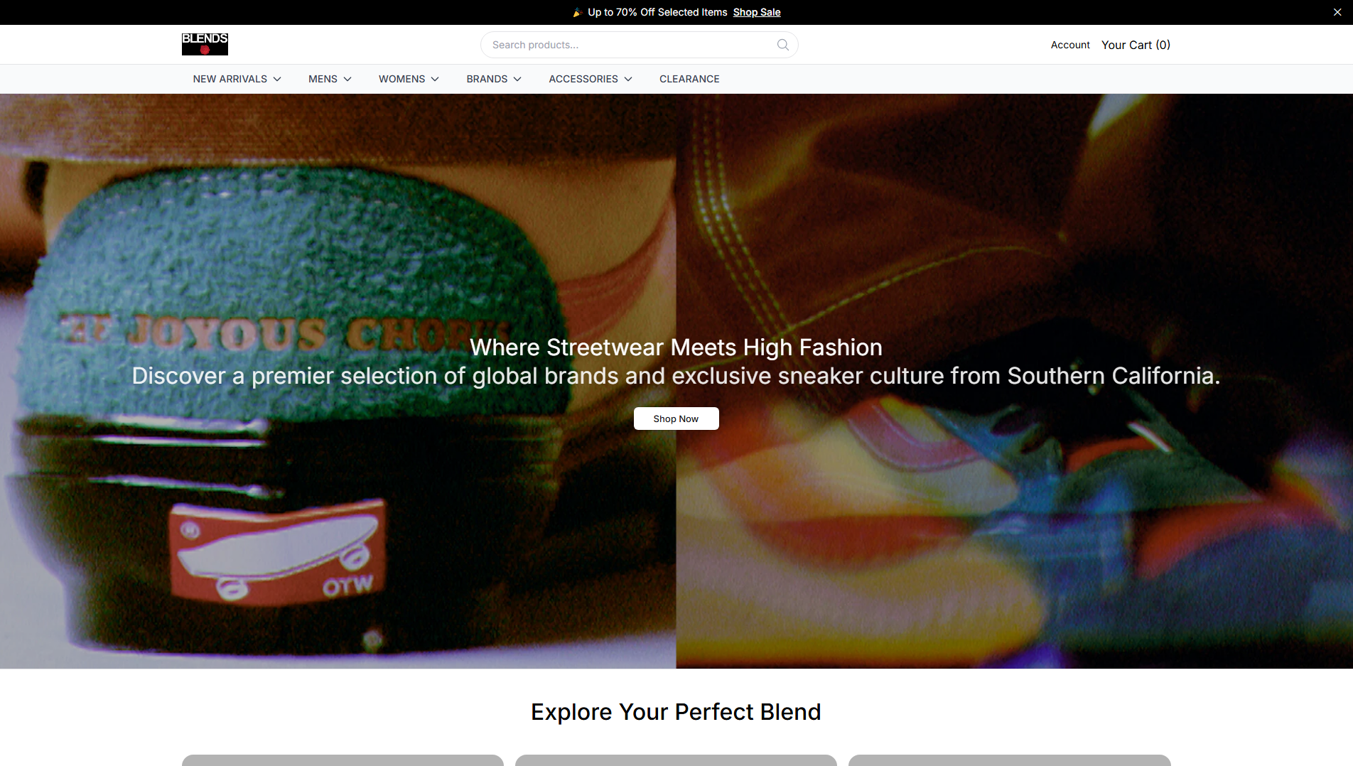 Primary capture · blendsusworks.shop