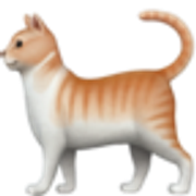 cat-1f408
