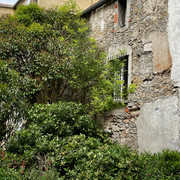 IMG 9385