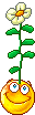 spring009.gif