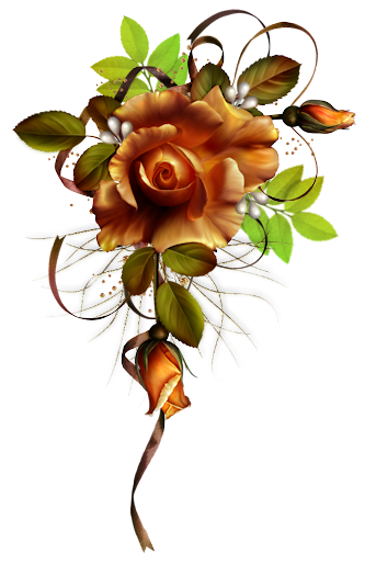 2ae1ef953d1145bd4e67e4056e236806.png