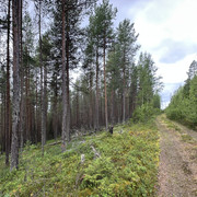 IMG 5767